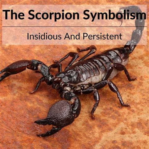 The Curse Jade Scorpion: Unraveling the Secrets of Its Curse and Its Power